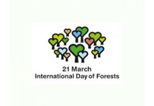 20140321foreste